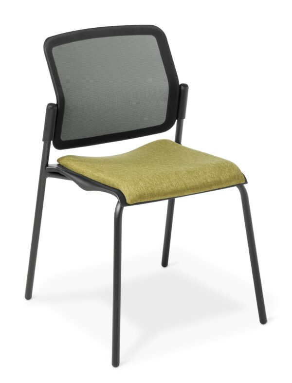 Report Chair