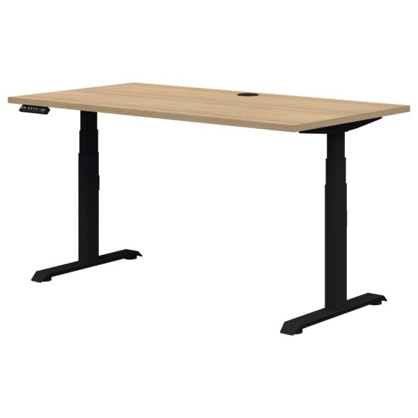 Peak II Electric Height Adjustable Desk