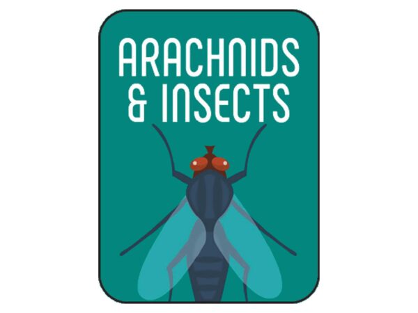 Non-Fiction Classification Labels