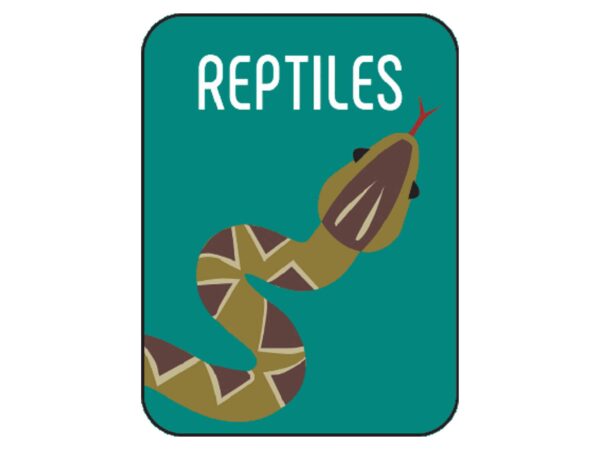 Non-Fiction Classification Labels