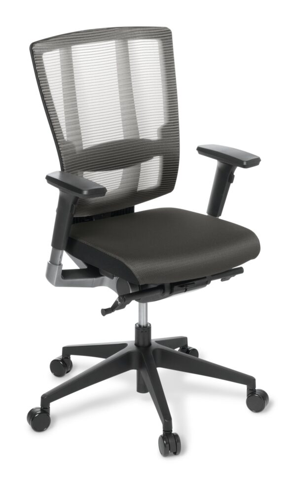 Cloud Ergo Chair with Arms