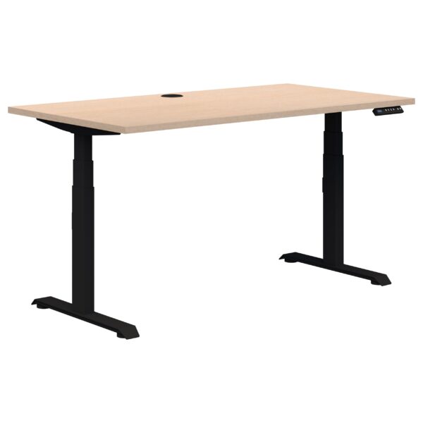 Peak II Electric Height Adjustable Desk