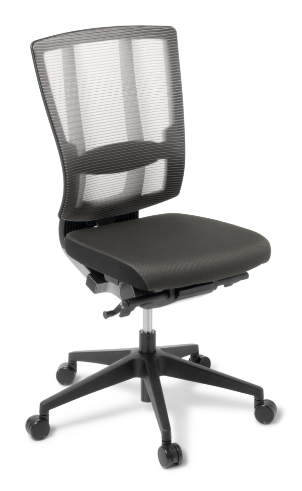 Cloud Ergo Fully Upholstered Chair