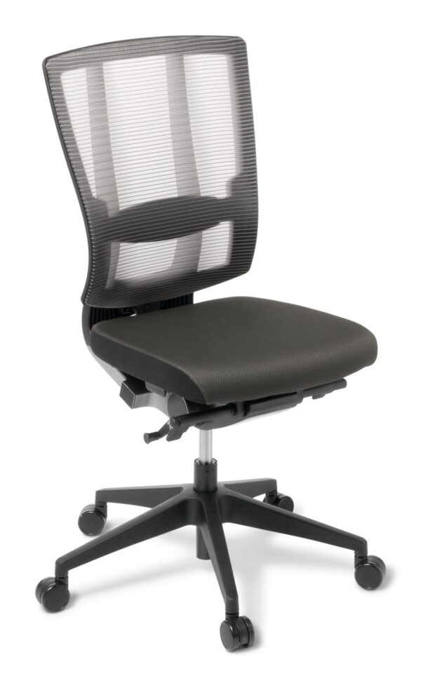 Cloud Ergo Fully Upholstered Chair